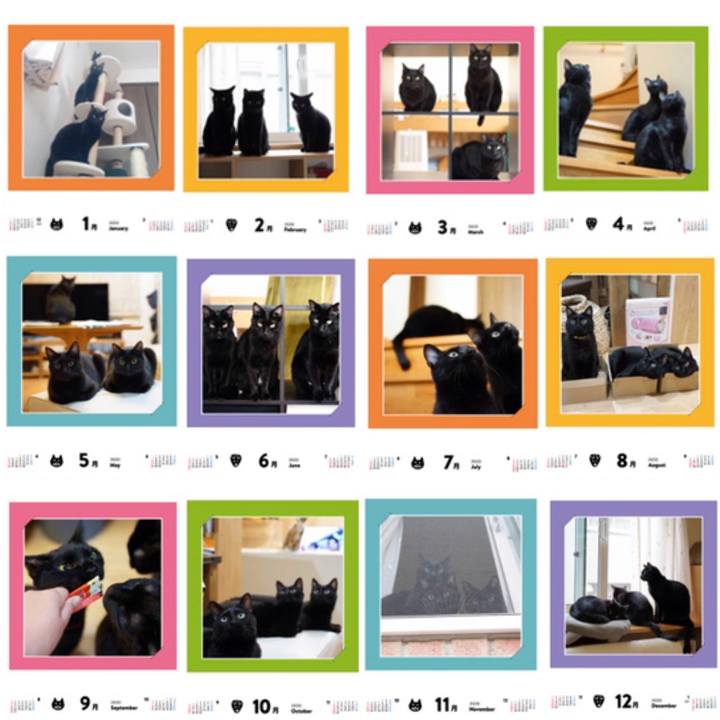 19013098 4c13 47c5 bb82 4c6af8c05a3c 1571926076045