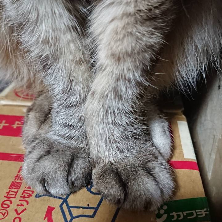 190147b3 4483 4f65 a4e9 bf2de3f53569 1567684225694