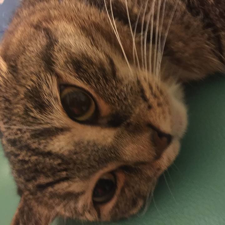 190151a4 e847 46c3 a05f ad93144a9927 1564578250221