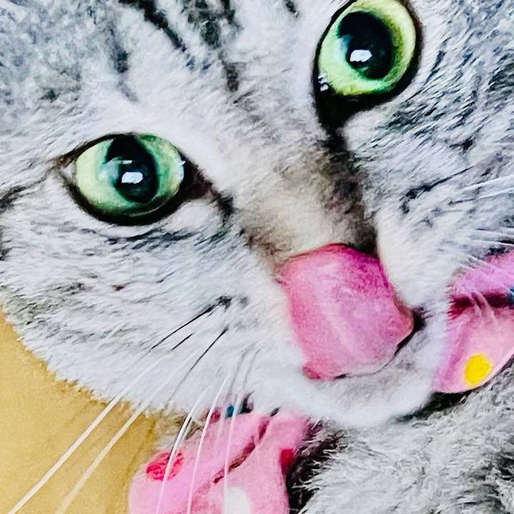 1901580d 8aca 4fd7 9a05 dee7b1118564 1753693309794