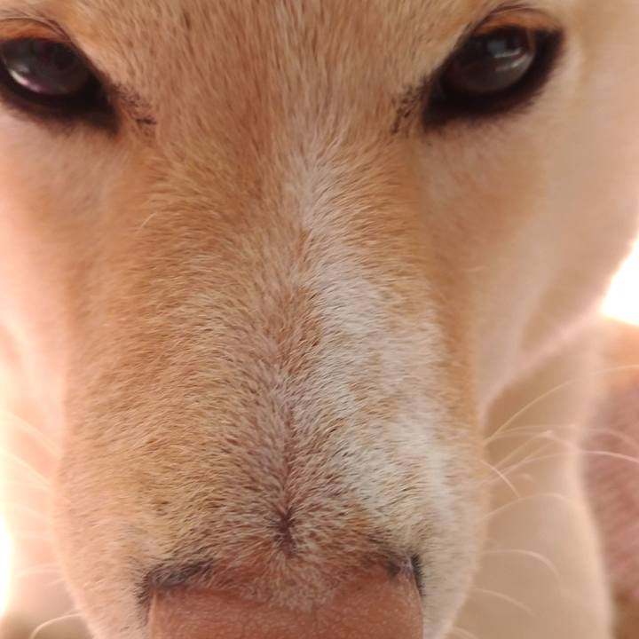 1901bc0b f72d 4b89 92a4 138527060c25 1518571779336