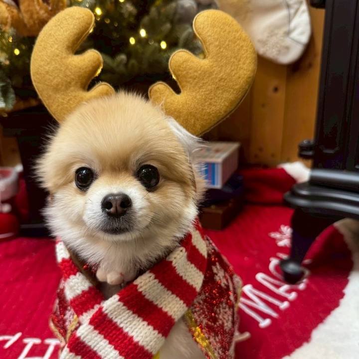 1901da44 8cb1 4f00 838f 6c00efd49a10 1766668461973