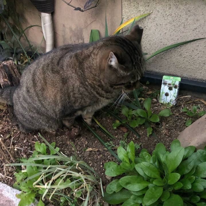 1901f4b6 83a0 4aae a1ba 89df5f6e17ec 1547889575383