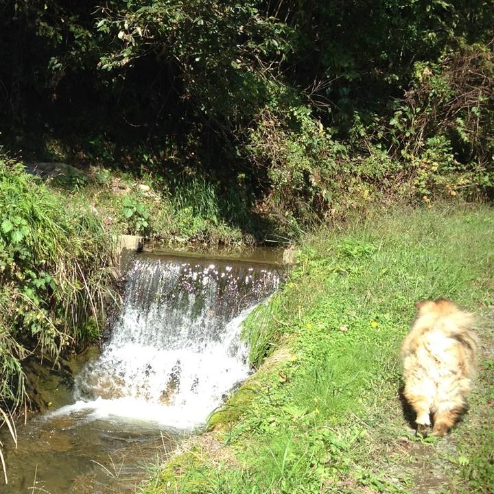 19020db0 aaf3 4ff2 974d 4f94066a6a18 1610795657727