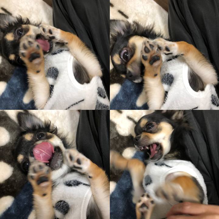 19021187 4e4f 4422 9e0a 3ae8f92440ad 1543702959345