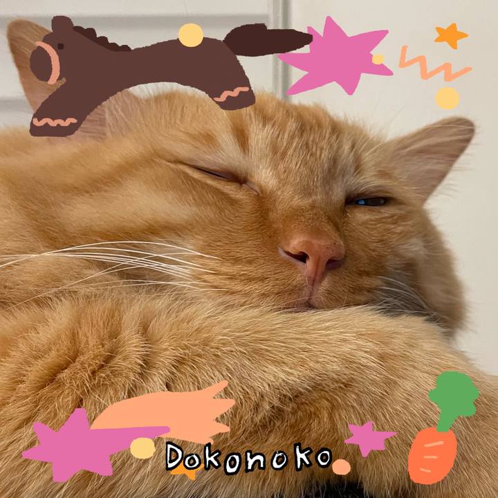 190231b7 214f 4671 a927 a81a832c48bf 1771984499609