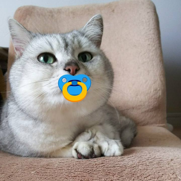 1902377c 9d23 4508 a882 bd32782d1e2c 1527347523477