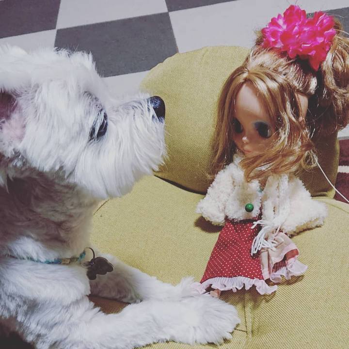 19023d81 489d 4cb6 ada6 880026b20b29 1636444292401