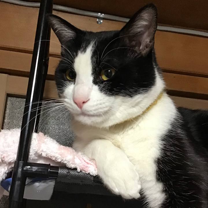 19024335 9c23 4ed0 9d48 6fd33022804c 1647345189176