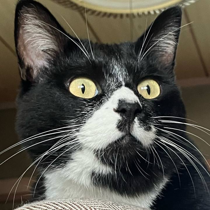 190273c3 d5e2 47d1 b469 5e1f016b419a 1731748828798