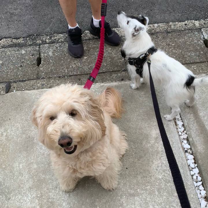 19027aad aff8 4602 8a7d 4596c2b5a04b 1746753978569