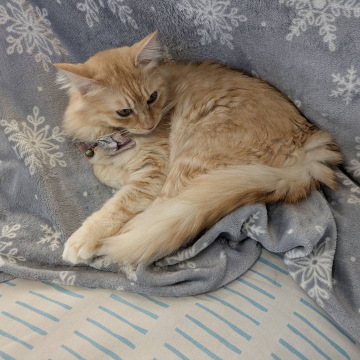 190298c4 cc10 471a 8239 1724fa937362 1732339935670