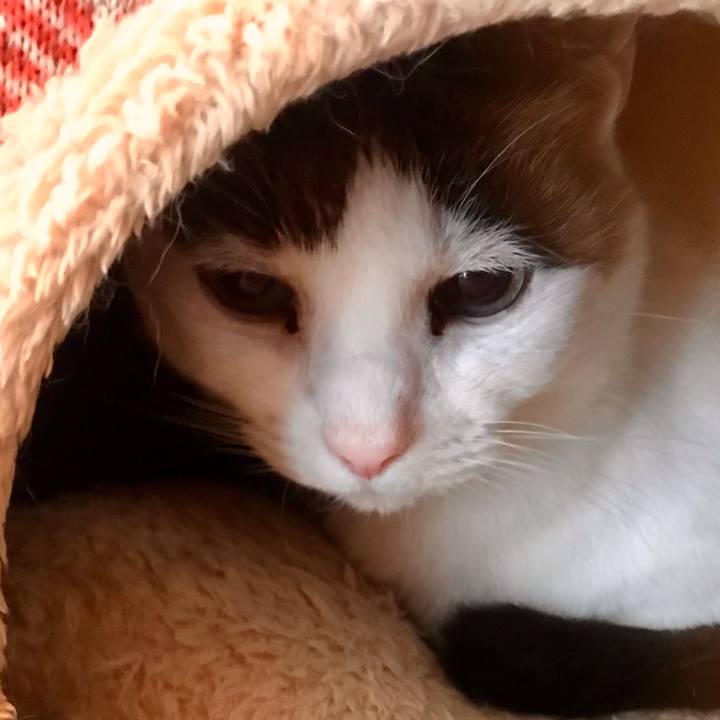 1902f64d d6d3 4b91 828b a131a0fdb1ba 1609305144839