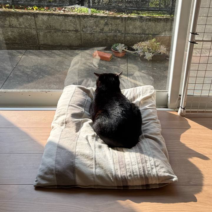 1903068f c147 4164 9205 30ae245e0cc7 1745054274077