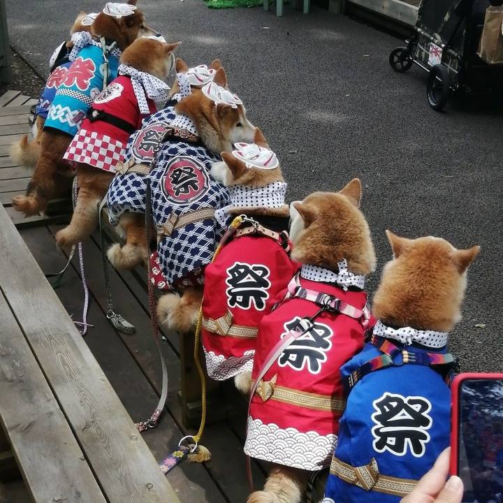 19034478 78ab 40a9 9fea 1a3b192fd77b 1685416250401