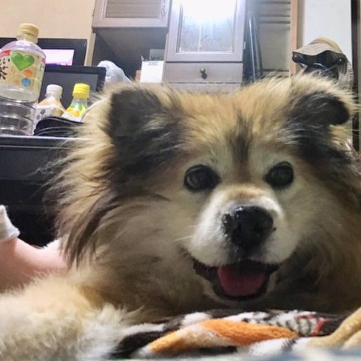 19034f49 ffc3 4725 b813 b0ccbf0546d0 1555240358213