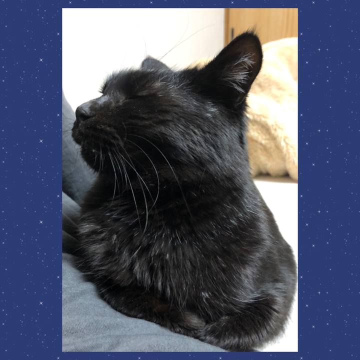 19035a2a ca58 4aba 9cba da271112e31d 1609668658376