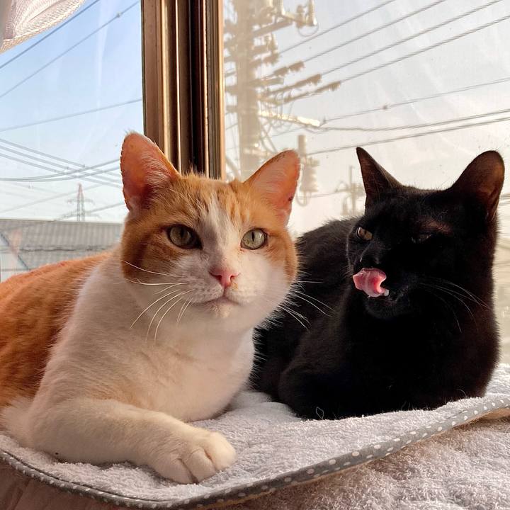 19037be6 c427 4c18 ba79 3a4e2105853b 1678520016085