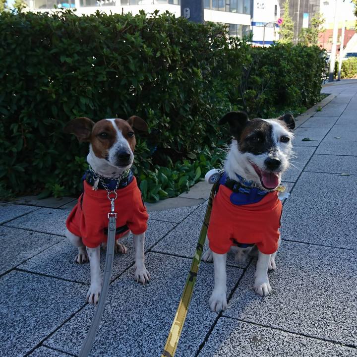 19038977 ff85 463d b482 878557e115a6 1570924380998