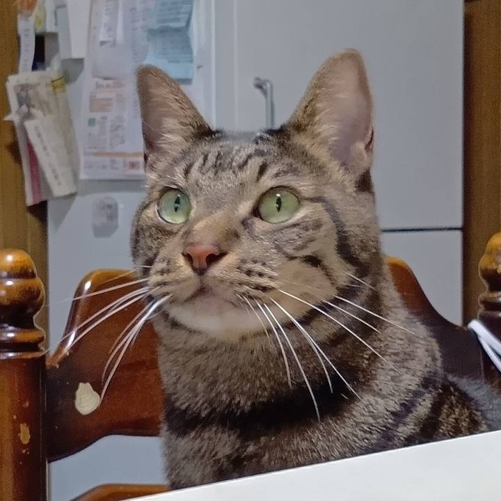 190398d7 56ea 4f0c 81be f413fa001b42 1755944706585