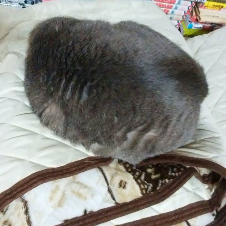 1903abec c6fa 4841 a03d a2aba8b93559 1587466310506