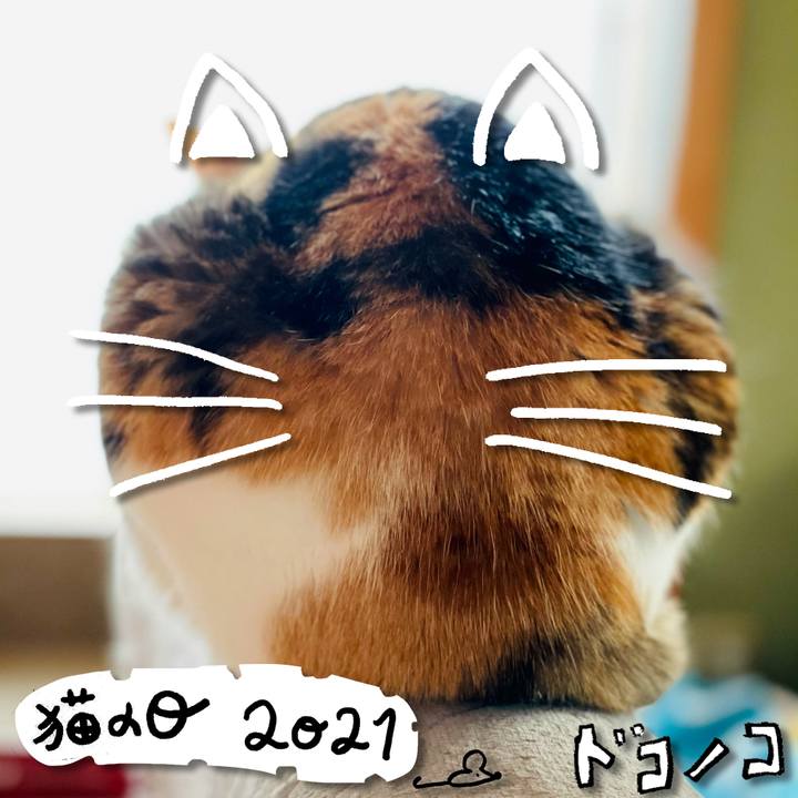 1903ac68 65d1 4e6c b695 01923cc4e40d 1613964946911