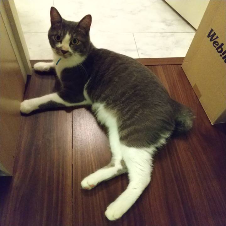 1903c64a 8b70 47e7 9932 e6683140592a 1599485247460