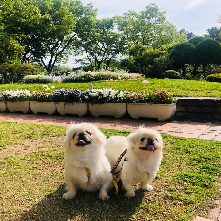 1903cac5 fc99 43e9 b88e ebbcf733bd4d 1619317679166