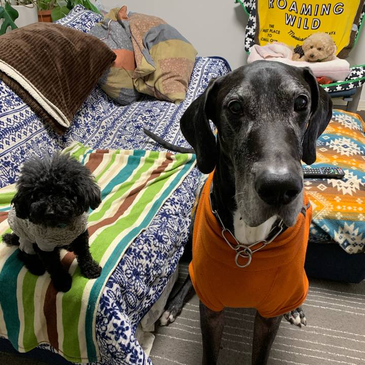 1903d063 4080 4ff6 a135 a97d728e381e 1579819503407