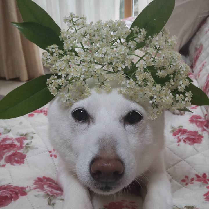 19041817 a18f 45b8 945f 59de39984ee3 1652485940643