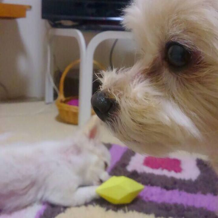 1904271d 09f3 487b a603 02c7f2712bb8 1563712150317