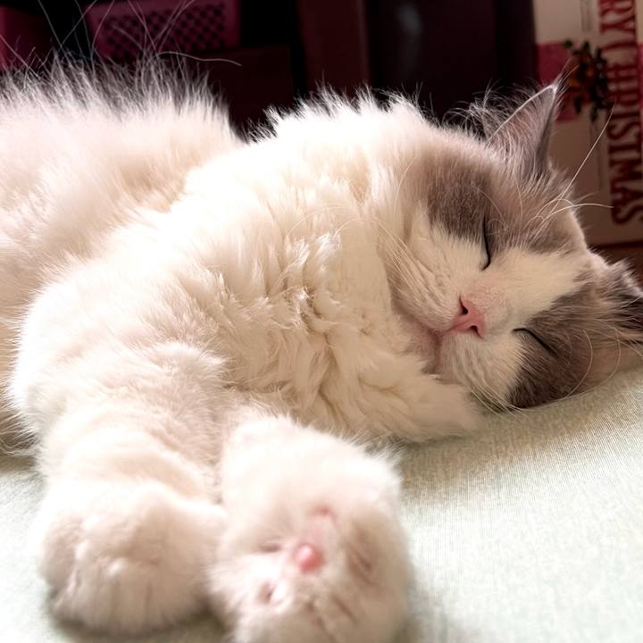 190433ea ec55 4c96 9127 837368dbef37 1753890006333