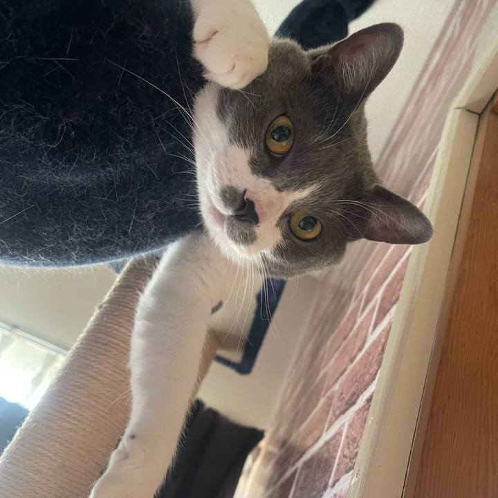 19043723 4927 4a61 969f 2b823f74cc2a 1650495603990