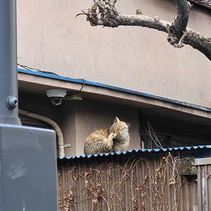 19046409 1ee0 4a32 a27a 80d5df202e55 1709352638953