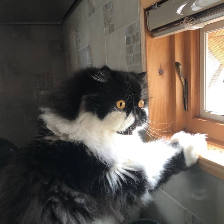 19049adf 6213 4137 bbc5 385e3c9e4fda 1585378369631