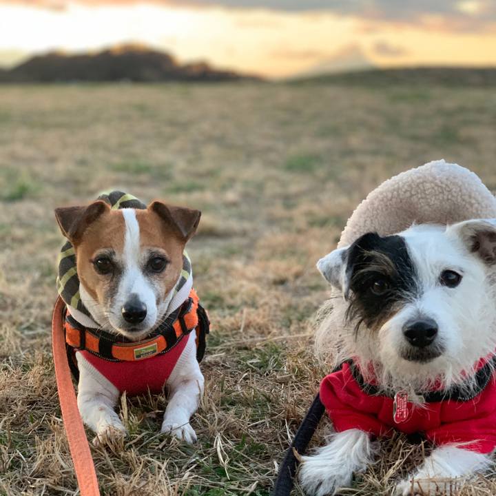 1904a83a 23e4 4153 aad7 ebeb89373a4c 1608020055506