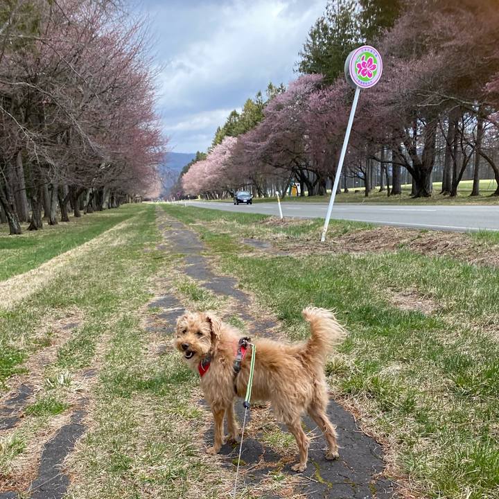 1904d974 8780 468a 8951 2dab9fb802e6 1682306212457