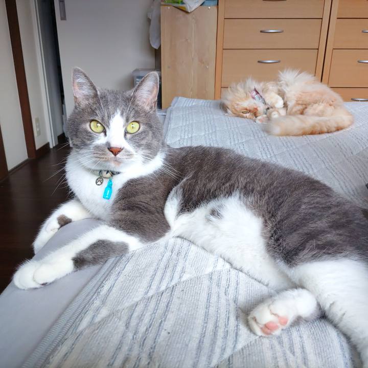 1904f994 b5e6 49da b5ad c76d79c7bf1e 1718870159597