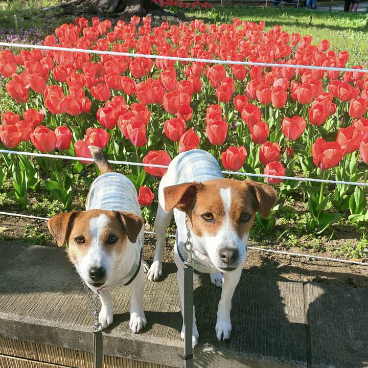 190501df 78b4 4ff8 97ad c8e2b3806538 1774084759144