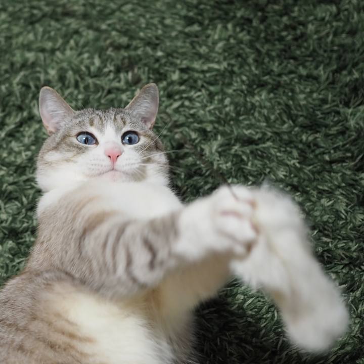 19050548 116d 4d04 9a7a c36a9b439fda 1651304921349