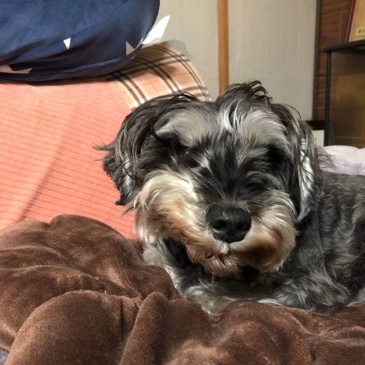 19051c36 9f0b 4297 9963 d007612c55a8 1636376207443