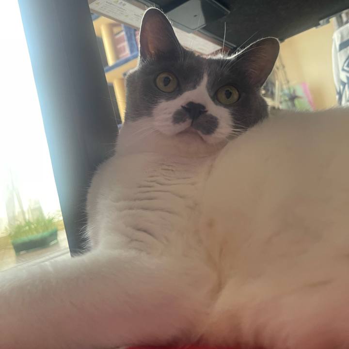 190531e9 b70e 480f b5e7 45bb48fd3c15 1756253550348