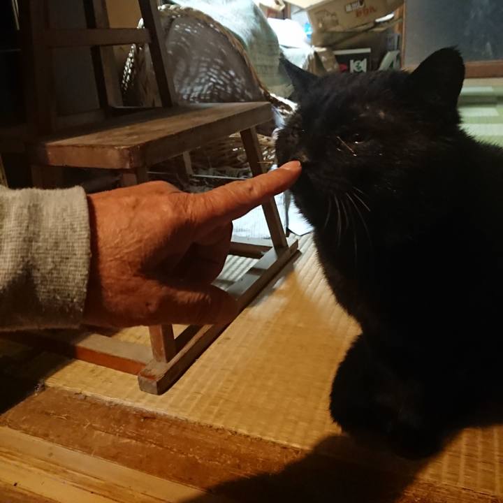 19056f5d 9f5c 4d89 a2ea 446bc893bf6b 1617705611816