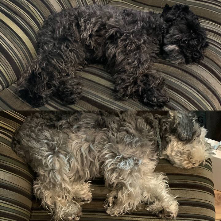 1905a2c9 8570 4410 9ce7 7b4ae6610438 1590986254783