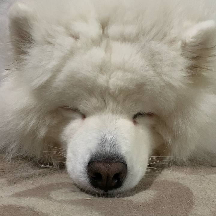 1905e0df 7837 44ff 85c4 54d5bdd96095 1621740067121