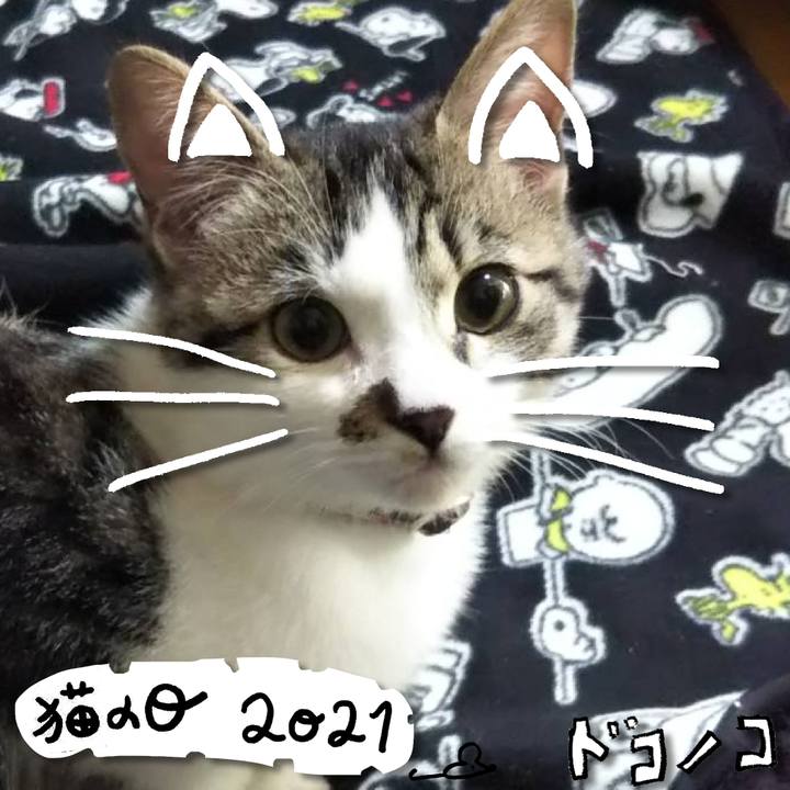 19062dfb bd85 4a4d b9b8 d79abe5301a0 1613999364062