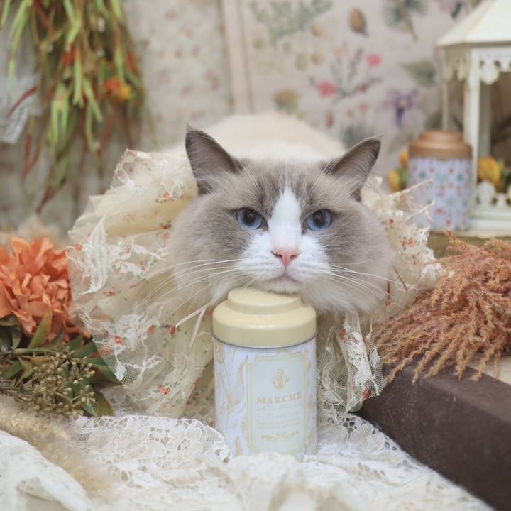 190692c8 8315 4c78 9f65 93e6ca50c994 1664444729291