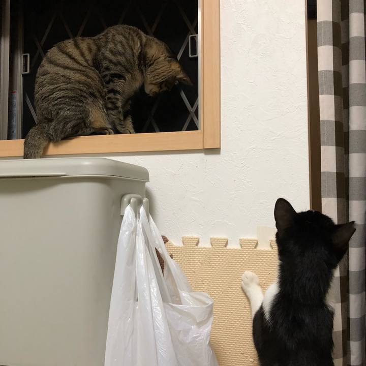 1906a809 275d 46b9 90d6 3173c37f2c7e 1531078950203