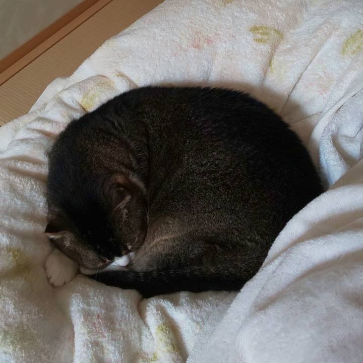 1906c486 5433 448a 88ff 0f02b6fddafe 1648870188910