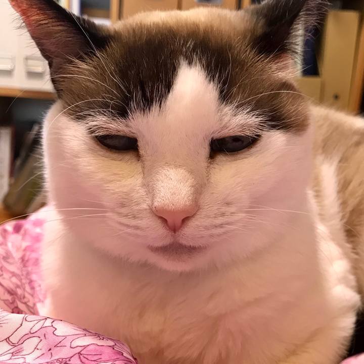 1906d9f9 d8c2 4236 9224 e4db13330aef 1578807214282